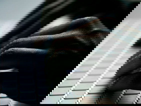 Experts waarschuwen: Pas veiligheid van overheidswebsites aan