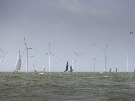 Marinebioloog Hilmar Derksen over de voordelen van een windmolenpark op zee