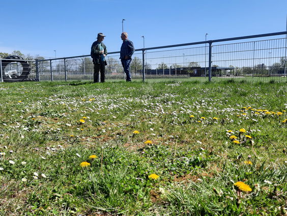 Natuur krijgt een boost door minder te maaien