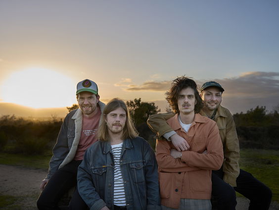 Frank Schalkwijk, muzikant