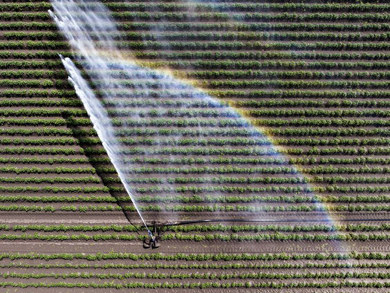 Risico op natuurbranden door kurkdroge grond: 'Extra alertheid is nodig'