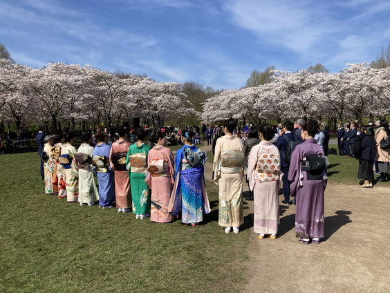 Groene Heimwee: Japanse bloesem