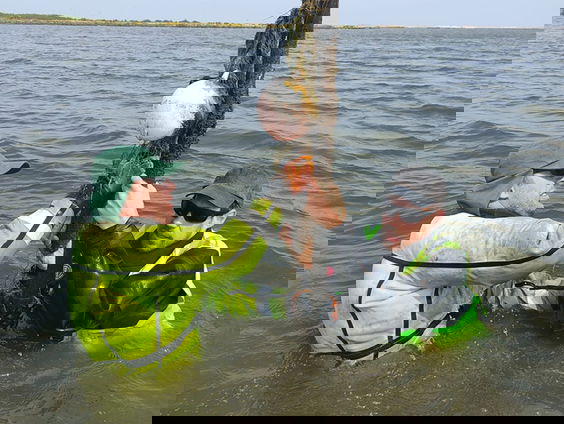 Gezenderde snoekbaarzen op Marker Wadden