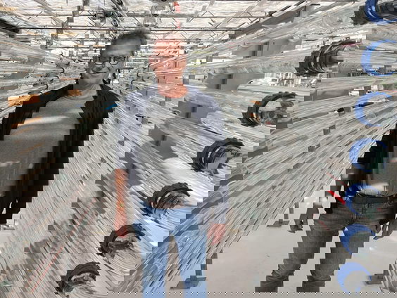 Proteïnerijke algen