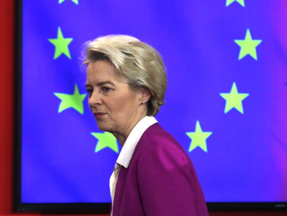 Moeten we ons zorgen maken over het digitale Europese paspoort?