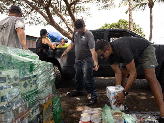 Hoe verloopt de wederopbouw op Maui?