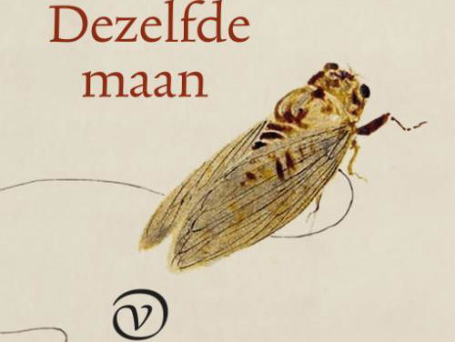 Boekenrubriek met Bo van Houwelingen