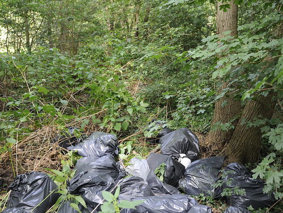 ‘Afvaldumpingen zijn een landelijk probleem’