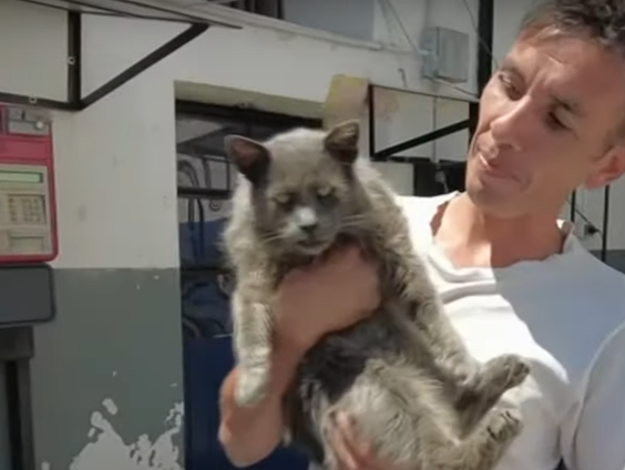 Buitenland Uitgelicht: Chili