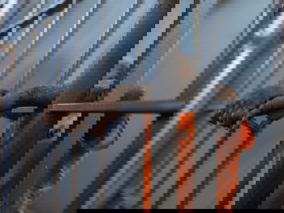 'Nederlandse criminelen idolaat van beroemde maffiafilms'