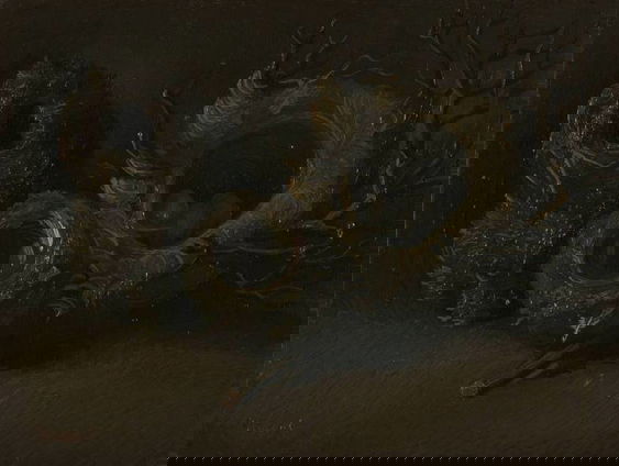 Vincent van Gogh moet meer geprezen worden door natuurorganisaties