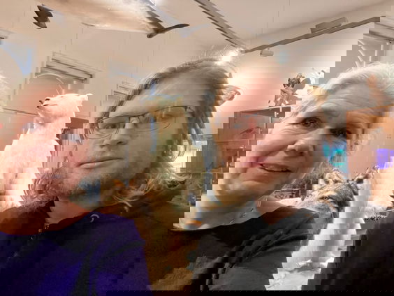 Het Uitzendbureau: Gaan wilde dieren ook op vakantie?