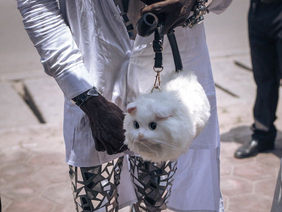 Waarom is een leren tas in de mode, maar een kattentas tegen de morele code?