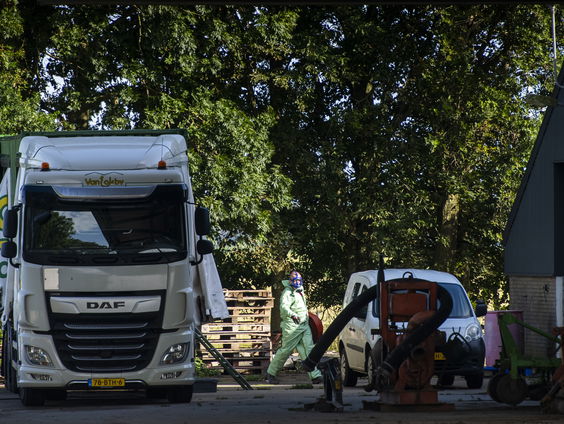 Na twee weken is de ophokplicht voor pluimvee weer ingesteld