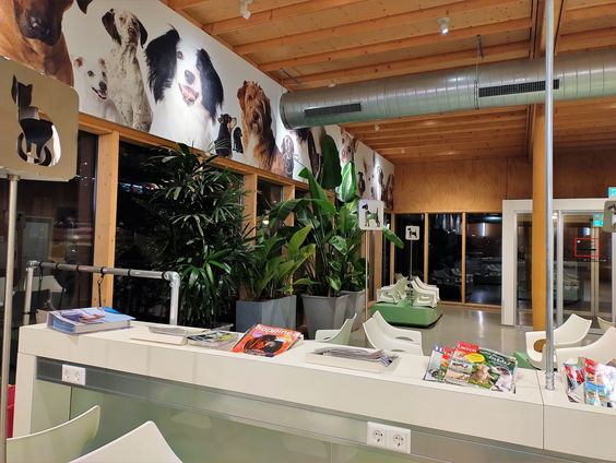 Spoed voor huisdieren - Nachtverslag bij Medisch Centrum voor Dieren