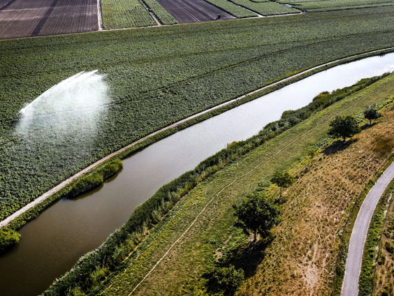 Hoe groot is het stikstofprobleem in Nederland?