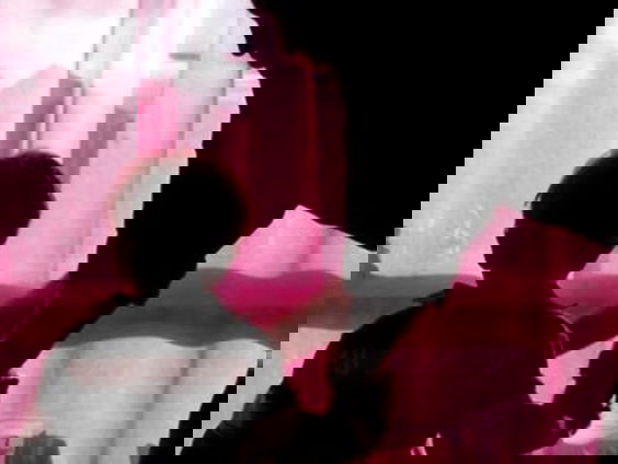 Pedoseksualiteit en de zedenpolitie: wanneer verlangens misdaden worden