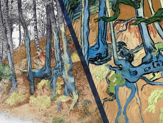De Boomwortels van Van Gogh zijn gered!