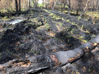 Natuurbrand legt deel van Remmerdense Heide in de as