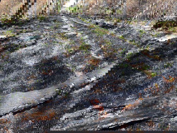 De Deurnsche Peel is nu beter voorbereid op een natuurbrand