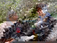 Nico de Haan, icoon onder de vogelaars, op 78-jarige leeftijd overleden