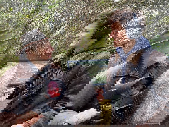 'Vogels, een leven lang' van vogebeschermer Nico de Haan