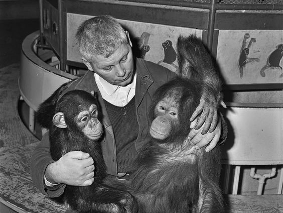 Terug naar Toen: Diergaarde Blijdorp geopend