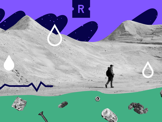 ReportersNL-zomerserie: Nieuwe natuur met vervuilde slib