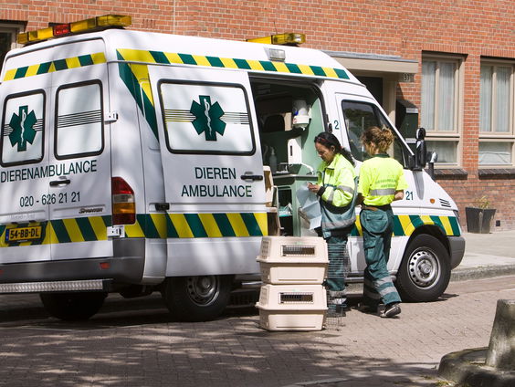 25 jaar aan avonturen op de dierenambulance gebundeld in 'Blaffende Honden Bijten Soms'