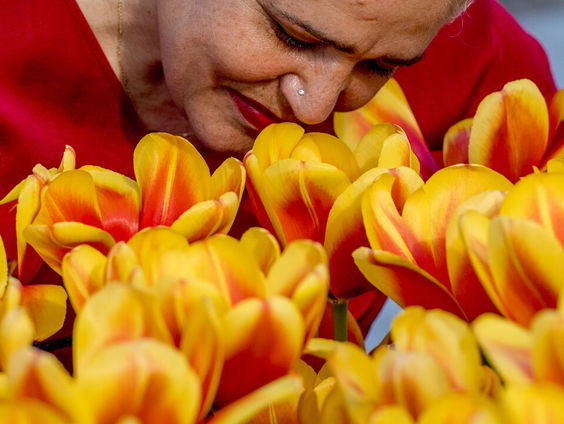 'Eumig' en 'huim': geuronderzoekers op zoek naar de taal van geuren