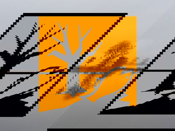 Hoe krijgt het waterschap een polder gifvrij?