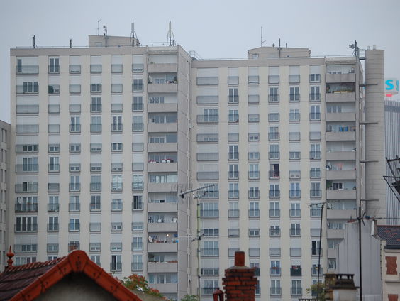 Ook Franse staat droeg bij aan 'diepgeworteld racisme' in Frankrijk