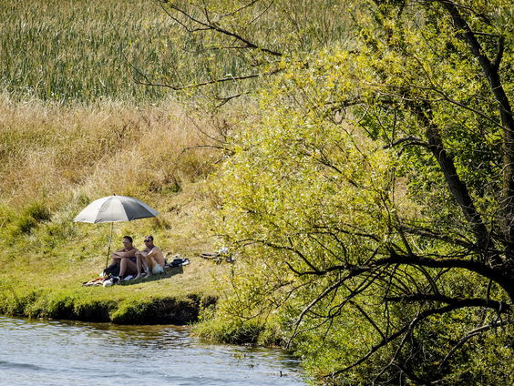 Een prijskaartje aan natuur