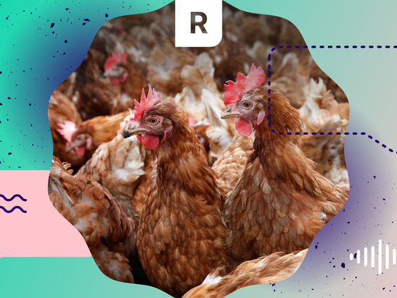 Het Gelderse stikstofdebat: de luchtkwaliteit