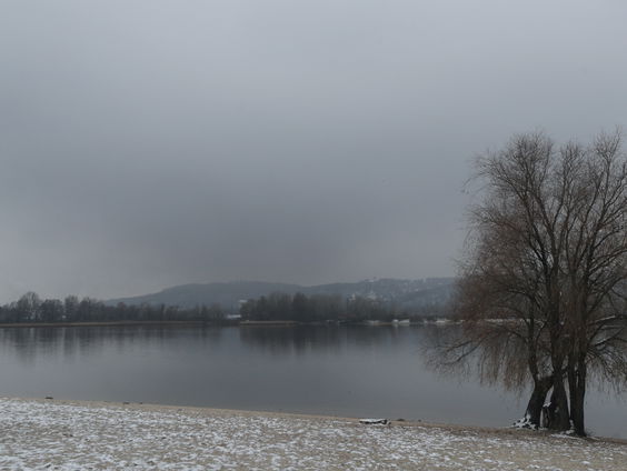 Vluchtelingen vast in grensgebied Litouwen: Artsen zonder Grenzen grijpt in