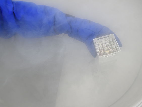 Kinderwens Oekraïners toegenomen sinds oorlog