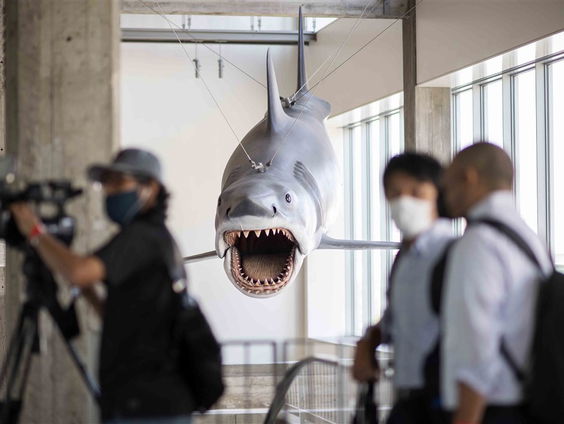 Jaws opnieuw in de bioscoop