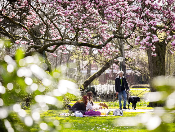 Vroege lente heeft gevolgen voor insecten