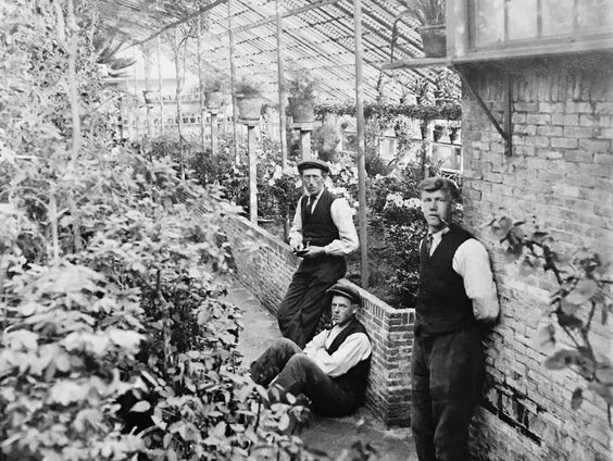 Het Spoor Terug: de Hovenier