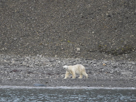 Een nieuw medicijn tegen klimaatpessimisme?