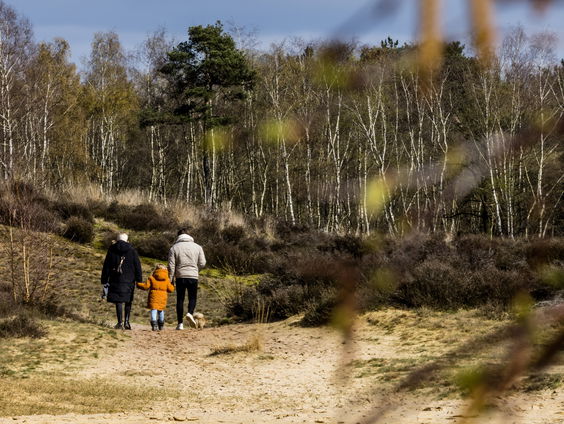 Wat willen we eigenlijk met de natuur in Nederland?