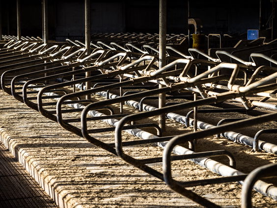 Waarom duurt het zo lang tot boeren horen wie piekbelasters zijn?
