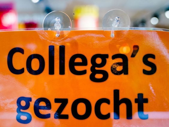 Wet die sollicitatie-discriminatie moet aanpakken verworpen in Eerste Kamer