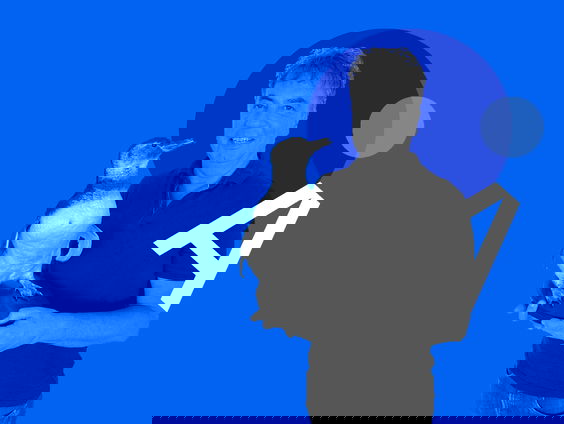 Luizen in de Pels: Marcel Haenen