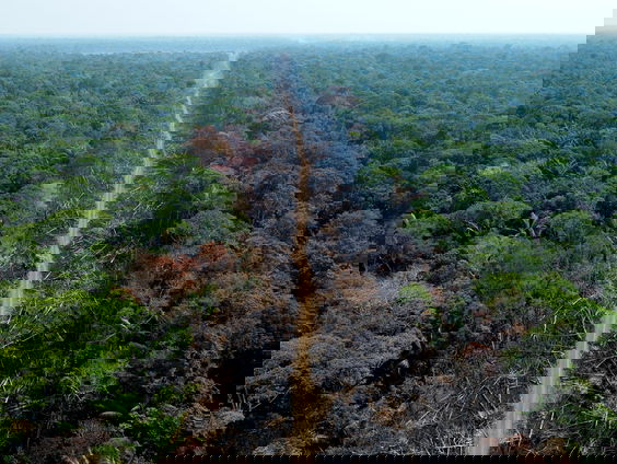 Hoop voor de Amazone