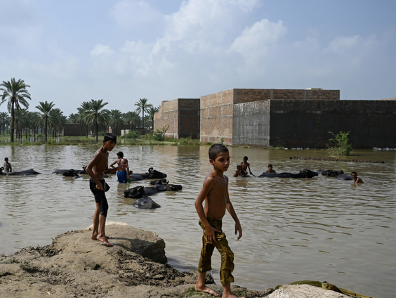 Overstromingen in Pakistan. ‘Naast Syrië kan dit de grootste vluchtelingencrisis worden die we gaan zien.’