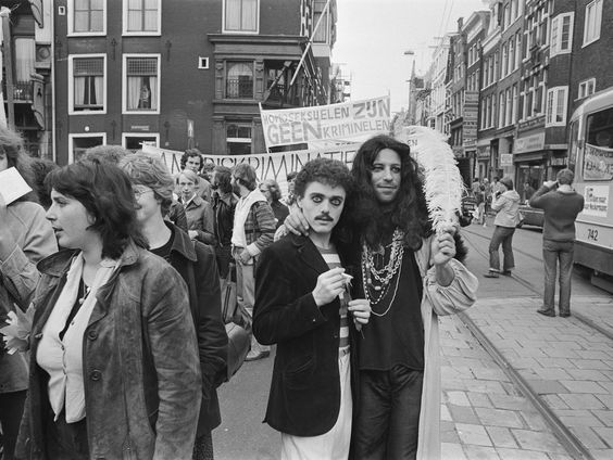 Homopolitiek in Nederland