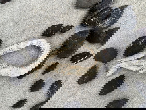 Een worm met een huisje van perkament