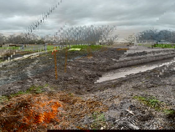 Dierenvoedselbos als compensatie voor de verloren natuur