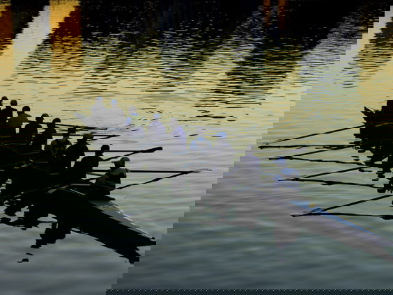 Het einde van licht roeien is in zicht